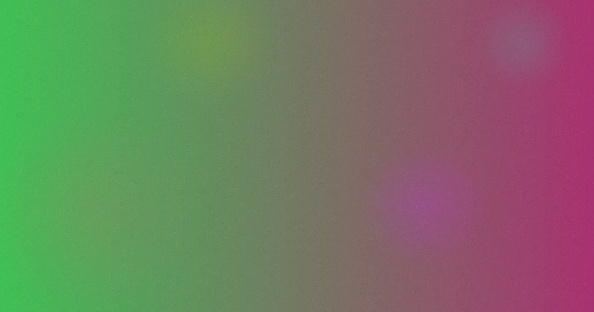 白洁陈三推荐怎么选？新手对照表